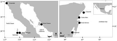 Inheriting wisdom: transfer of traditional, scientific, and ecological knowledge in fishing communities in Mexico